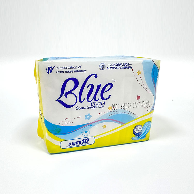 Por que você deve escolher guardanapos sanitários regulares para proteção cotidiana?